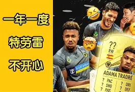 九游官方网站_切尔西英超战胜狼队帕尔默关键助攻(切尔西英超死敌)